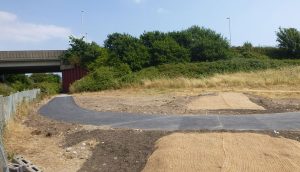 The geotextile covering will give some protection to the soil and seeds that have been sown while the vegetation is establishing; it's made from coconut fibre and will naturally rot away in time.