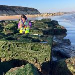 Surveying intertidal cubes at Hengistbury Head © A Hall Marine