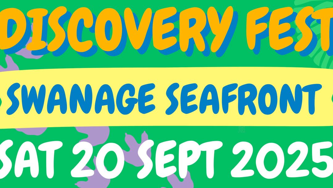 Discover Fest 2025