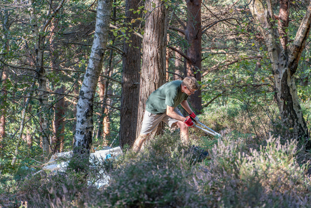 Restoring heathland & building team spirit
